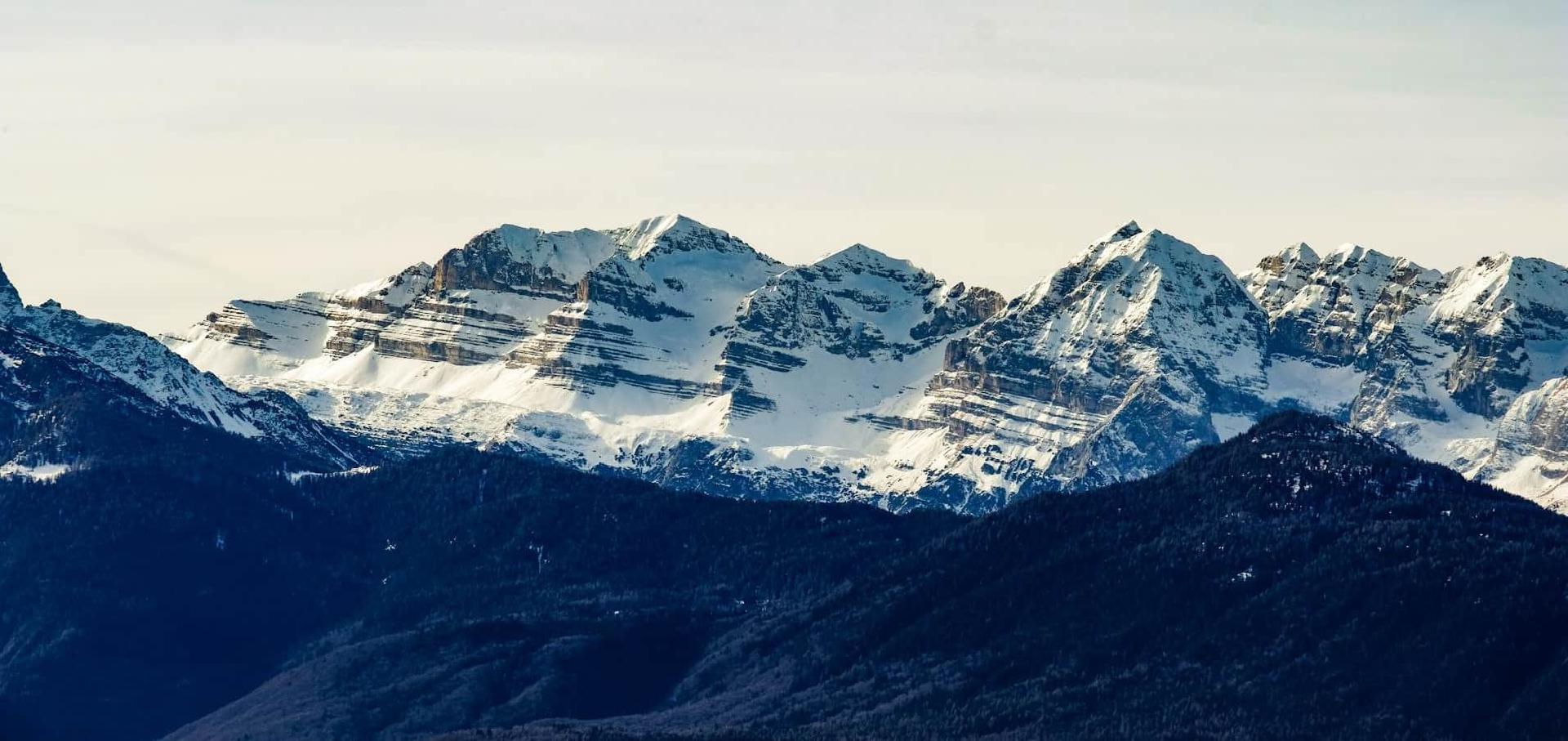 Freelance website designer for Grand Junction small businesses—custom web design near you